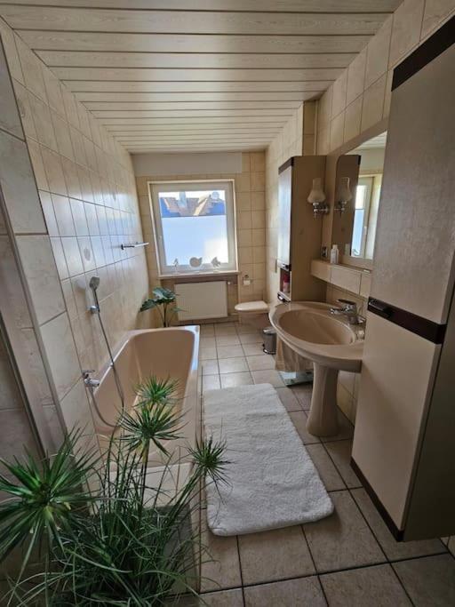 Ferienhaus Distelfink Entspannen In Der Mitte Von Deutschland Gudensberg Ngoại thất bức ảnh